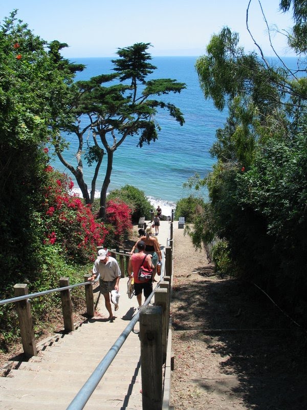Several paths from the Mesa provide direct beach access, including the Thousand Steps stairway.