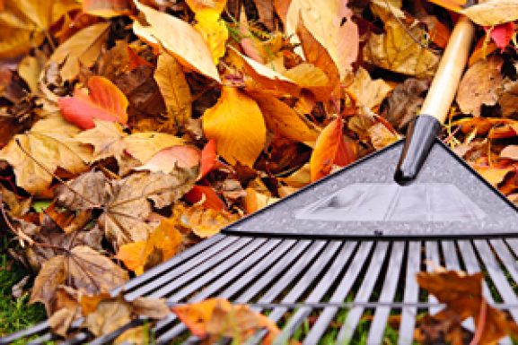 Maintaining Your Home in Changing Seasons